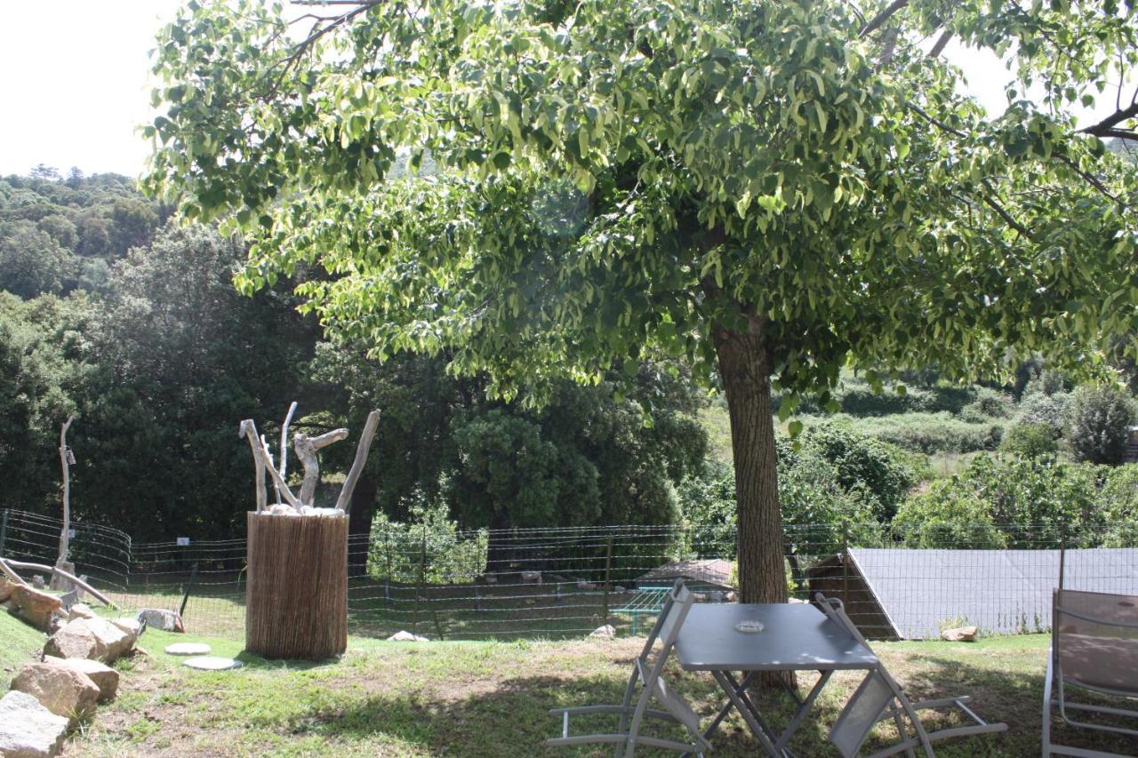 A Cardiccia Loc Saisonnieres Piana Διαμέρισμα Piana  Εξωτερικό φωτογραφία